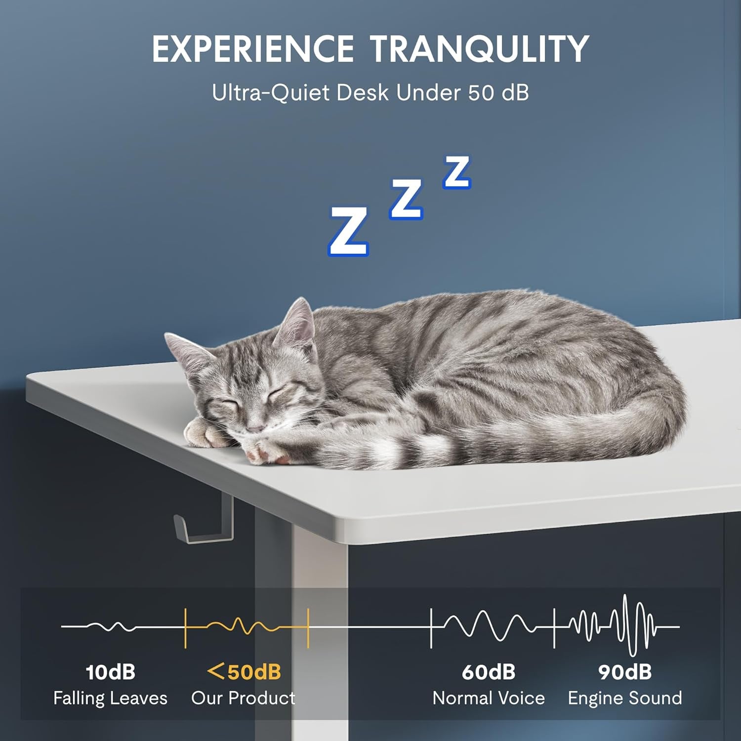 One-Piece Electric Standing Desk, 48 X 24 Inches Adjustable Desk with Seamless Desktop, Memory Controller Height Adjustment (White Frame + White Desktop, 2 Packages)